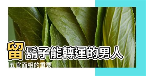 下巴留鬍子面相|下巴留鬍鬚的風水 